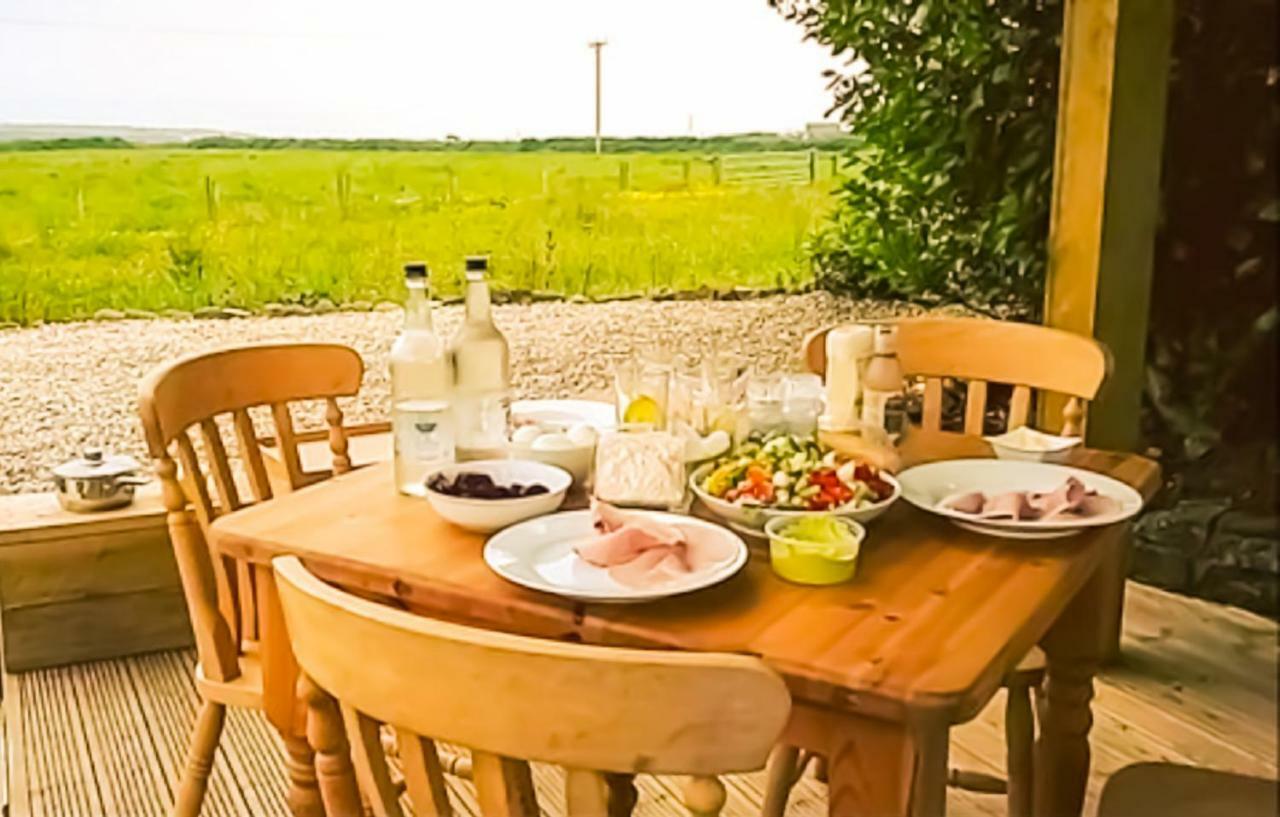 Ty Helyg Bed & Breakfast St. Davids  Dış mekan fotoğraf