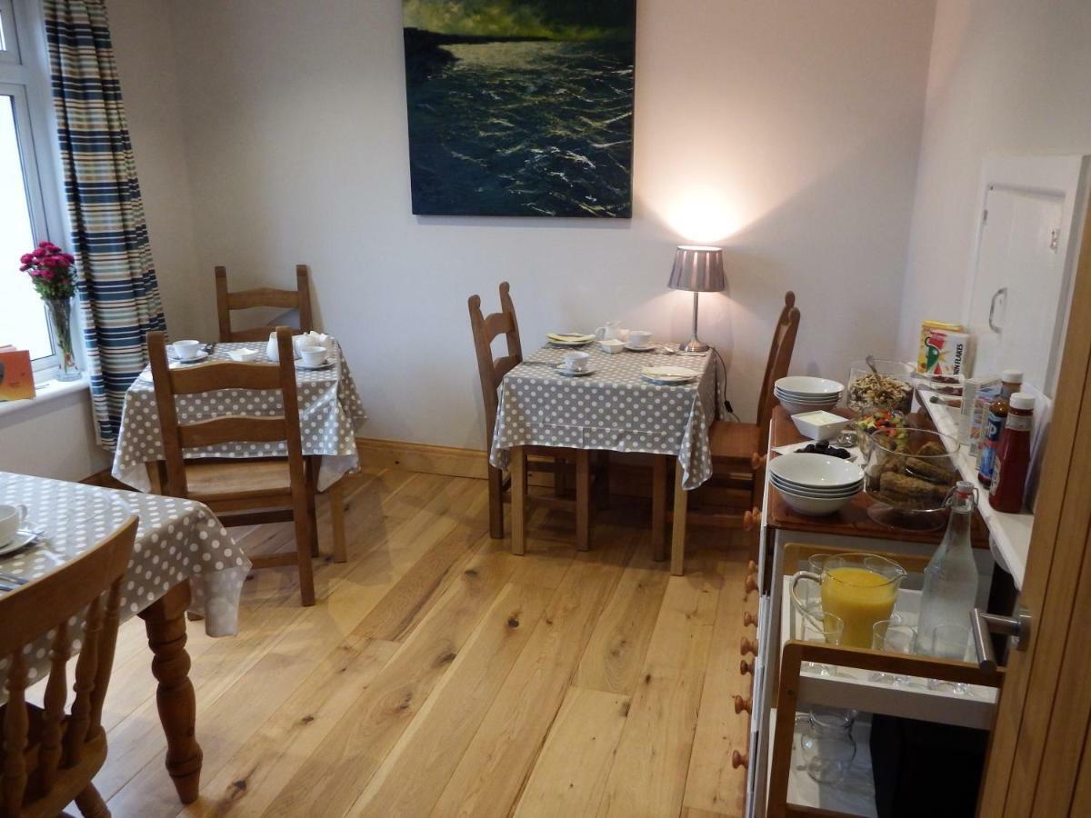 Ty Helyg Bed & Breakfast St. Davids  Dış mekan fotoğraf