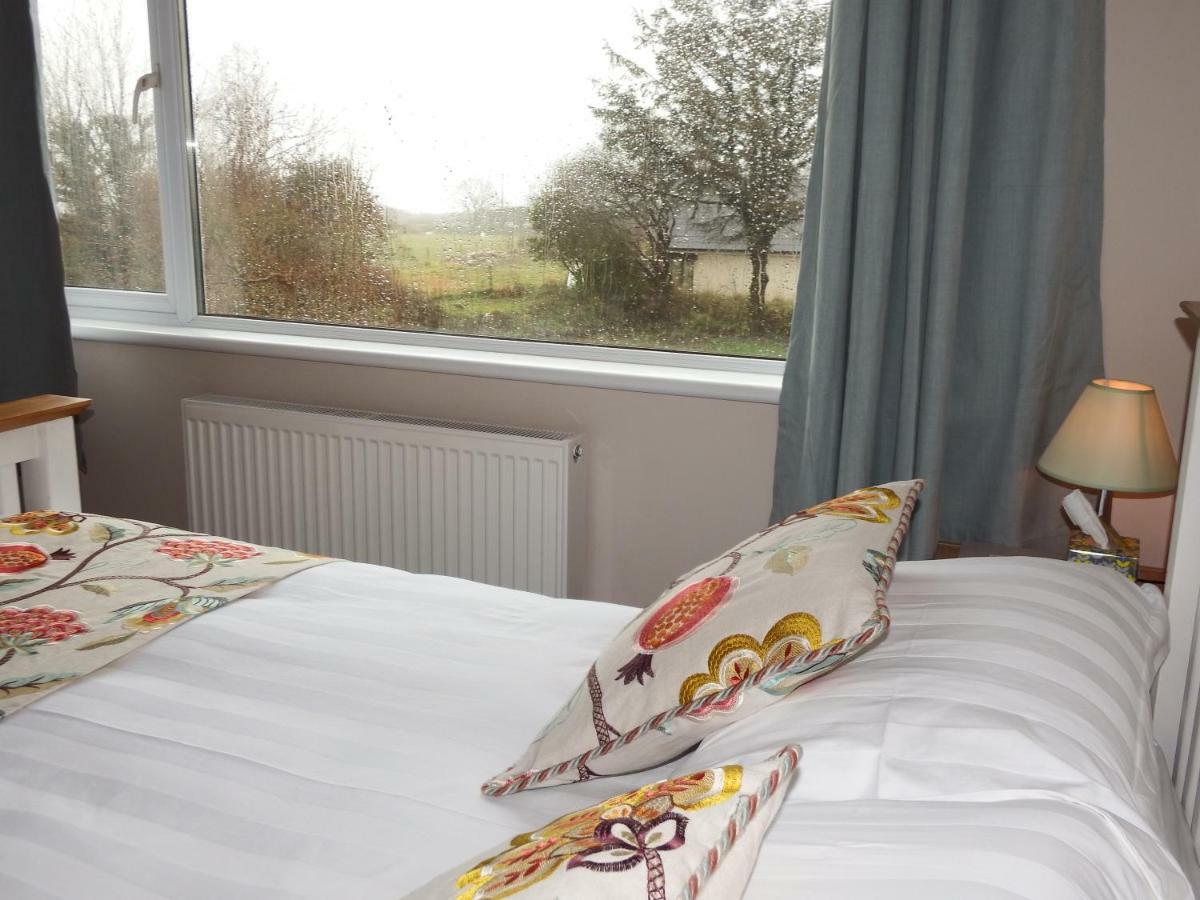 Ty Helyg Bed & Breakfast St. Davids  Dış mekan fotoğraf